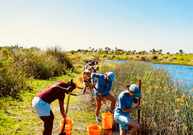 Volunteer nature cleanup